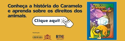 banner-cachorro-sem-lar.jpeg