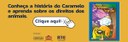 banner-cachorro-sem-lar.jpeg